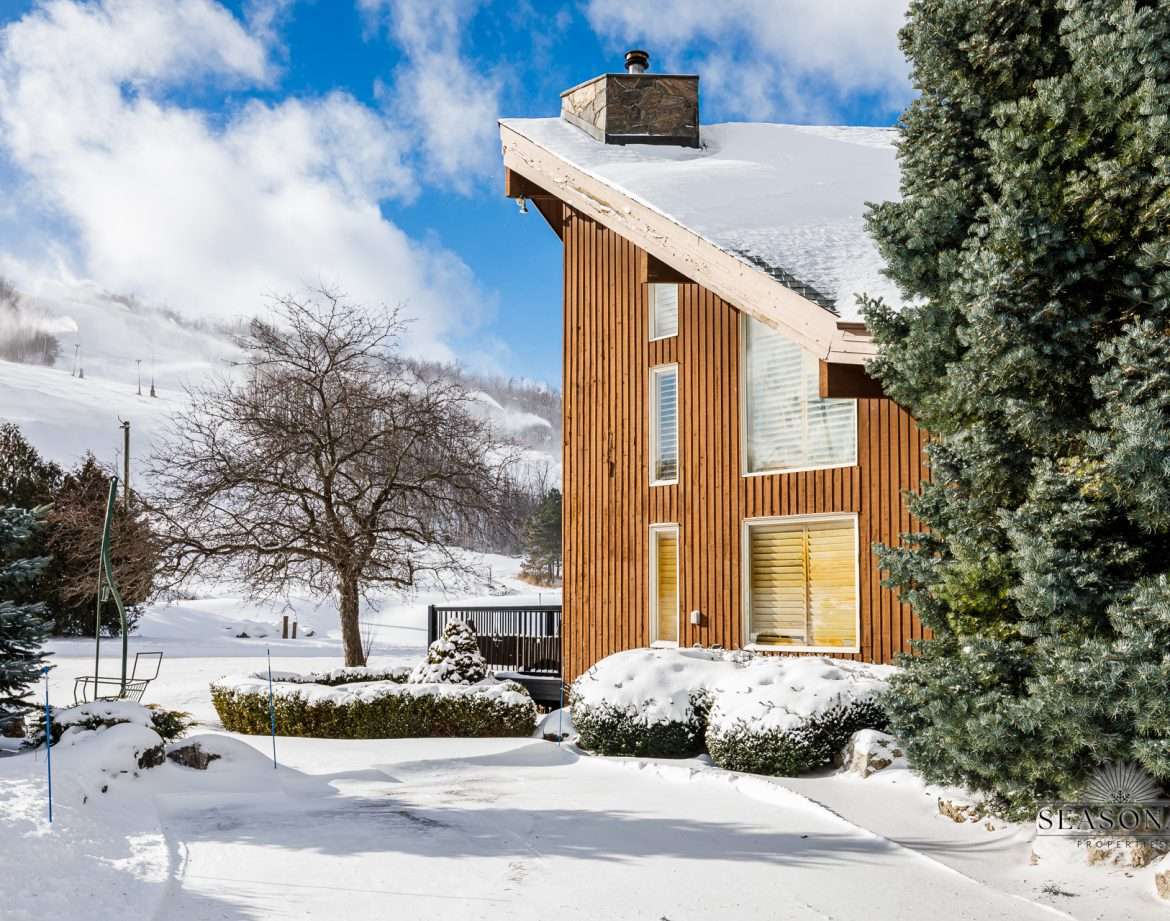 SKI CHALETS BLUE MOUNTAIN